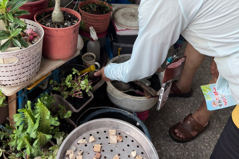 台南增23例本土登革熱 市府設稽督大隊促孳清