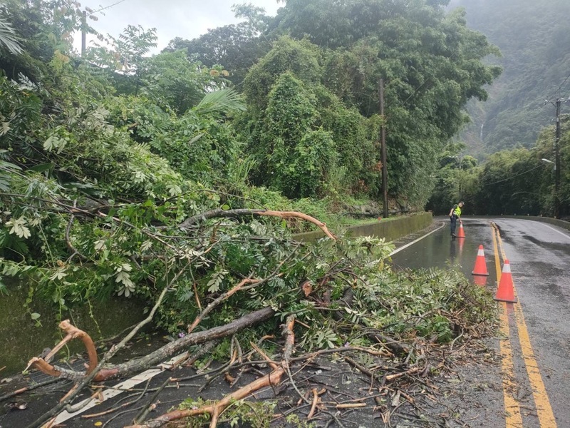 卡努颱風影響山區大雨 台8線2處路樹倒塌