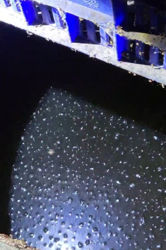 台南登革熱增30例 永康1停車場重大孳生源重罰1.5萬