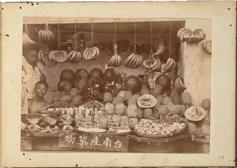 日治初期寫真帖線上展 百年前研究病媒蚊現蹤