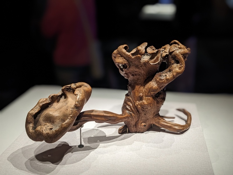 東方也有抽象藝術 故宮南院展古木奇姿另類美學