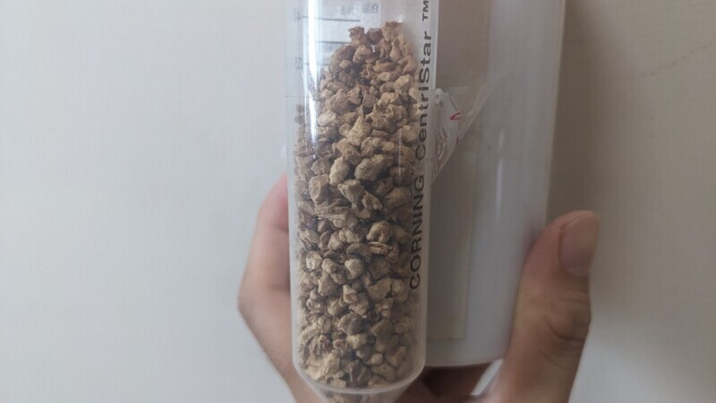 壽山公園用蘇力菌滅蚊 學者：不會影響人體