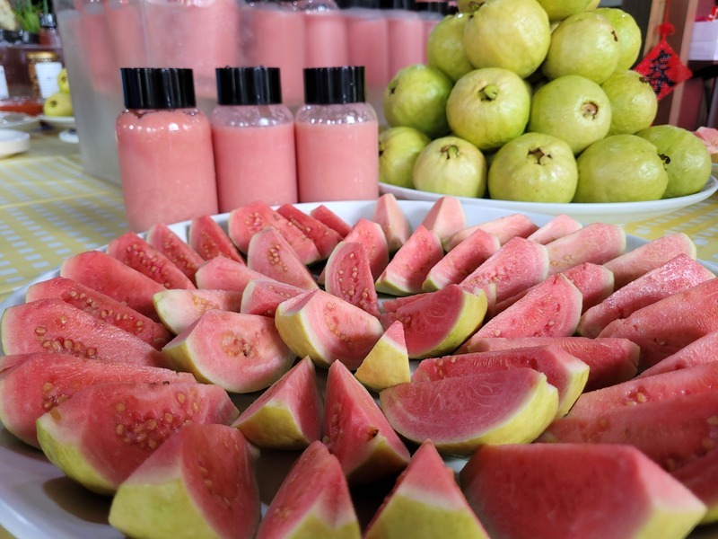 吃軟不吃硬 宜蘭員山紅心芭樂上市