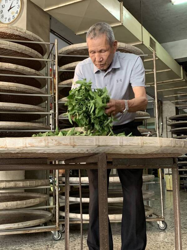 南投名間埔中茶保存者陳茂淳辭世 文化部將頒旌揚狀