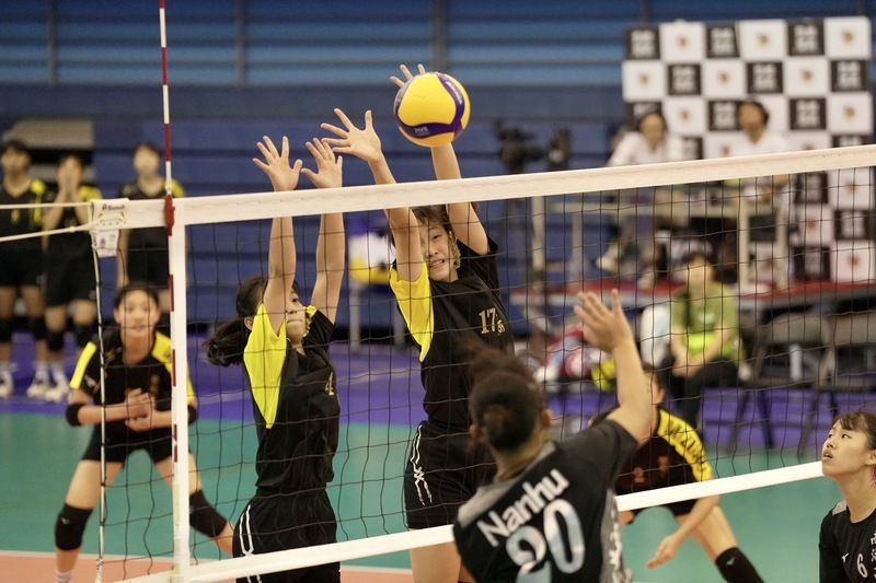 登峰造極青年排球賽 鶯歌拿勝教練盼開心打球