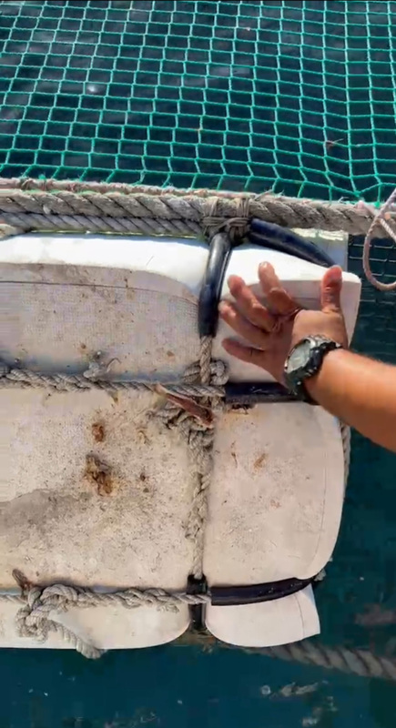 澎湖箱網養殖才遭風災重創 藍瓜、黃瓜石斑被偷