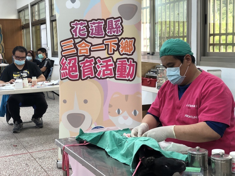 絕育植晶片接種疫苗 花蓮「犬貓三合一」開跑