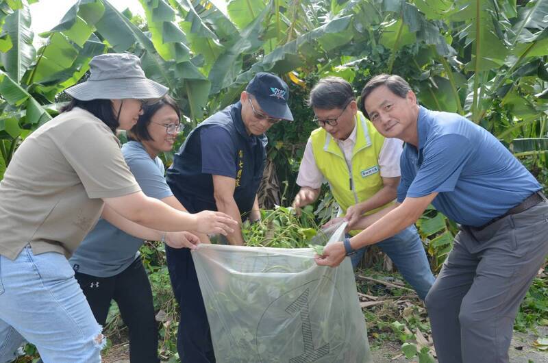 南投辦拔除小花蔓澤蘭趣味賽 防堵外來植物危害