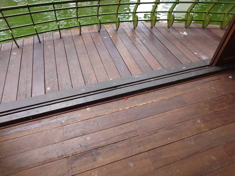 台中公園湖心亭遍布鳥糞 市府籲民眾勿餵食野鴿