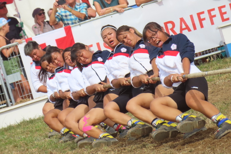 單日2金2銀 拔河世錦賽台灣創隊史最佳成績