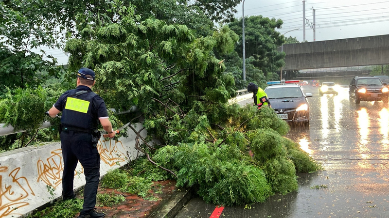 台中市大雨南屯區路樹倒塌 警方清除恢復通行