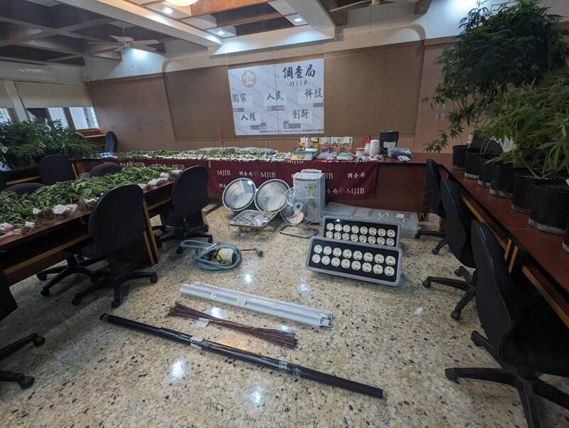 透天厝種大麻父子檔落網 初估1.5億植株、成品遭扣