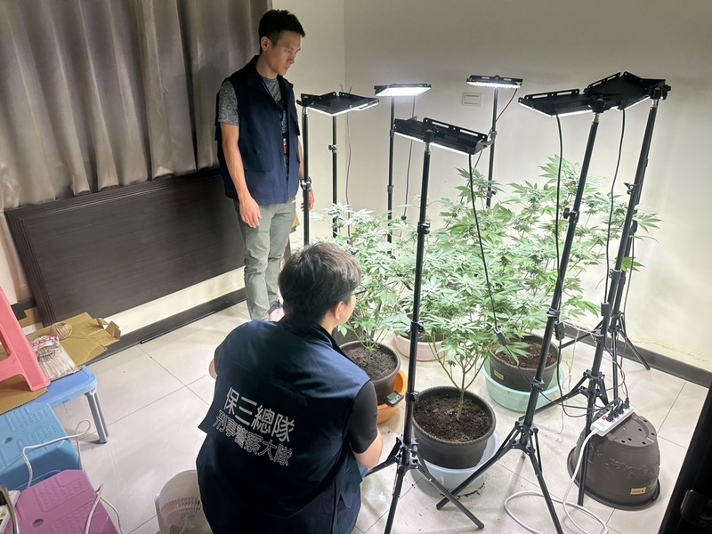 外籍師來台自學種大麻吸食 涉毒品罪遭法辦