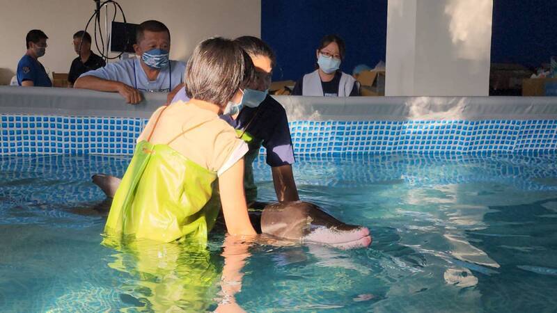 基隆收容擱淺糙齒海豚 胃內發現疑有釣線