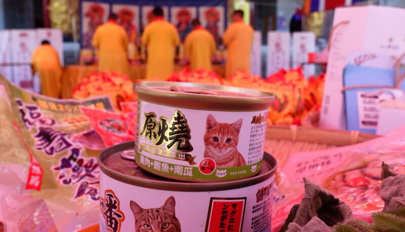 6年路殺806隻 池上鄉宮廟普度野生動物亡魂