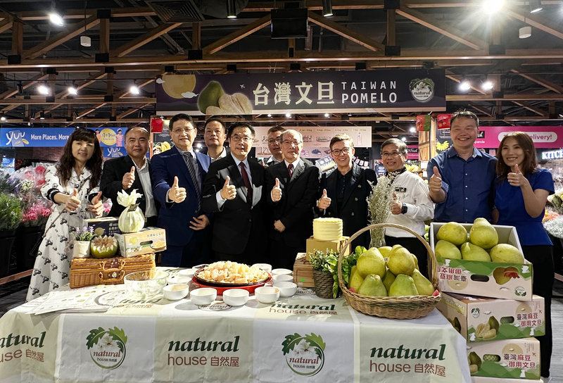 中秋節將至 台南文旦拓銷新加坡