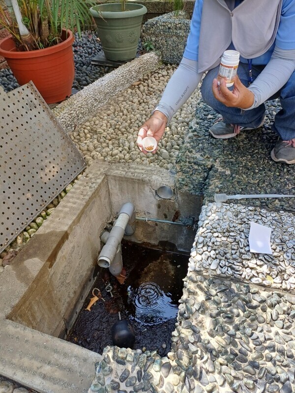 高市登革熱參104年疫情發展 未來2個月達高峰