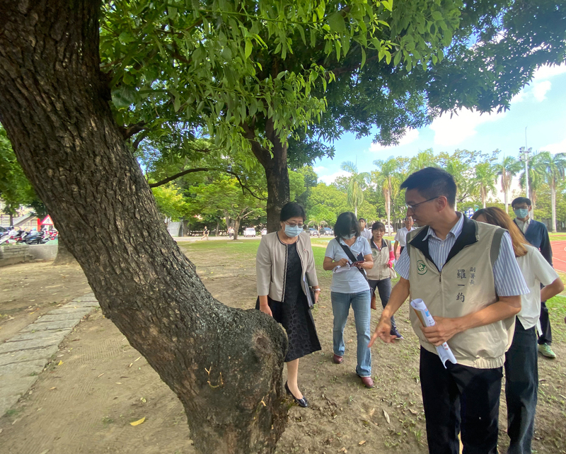 台南登革熱病例下降 羅一鈞：疫情確定本週反轉