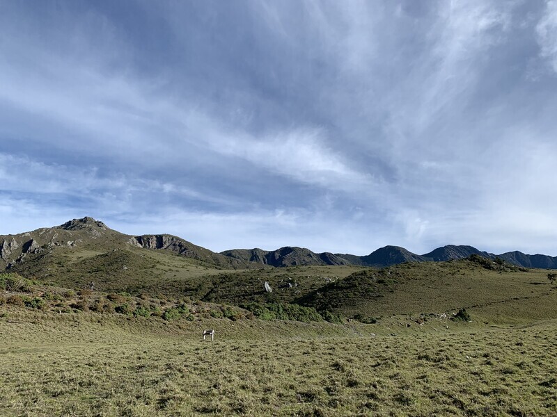 花蓮古道見證時代更迭 林保署規劃講座學習體驗