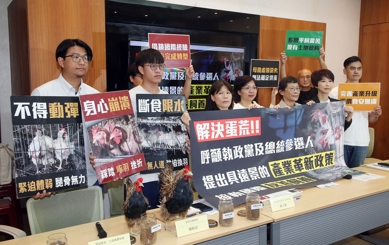 民團：一味強調低廉雞蛋 將拖垮蛋雞產業