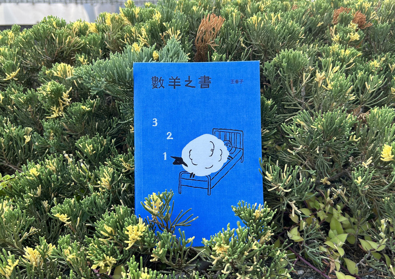 王春子繪本「數羊之書」 100隻羊的想像力大冒險