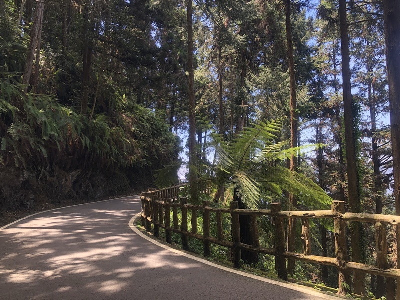 颱風小犬來襲 墾丁、雙流及藤枝等園區將預警休園