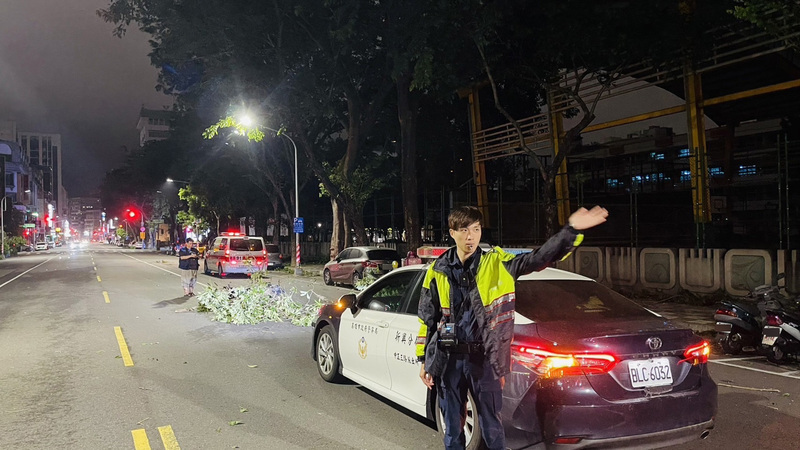 颱風小犬來襲高雄刮強風 樹枝掉落砸雙載機車2傷