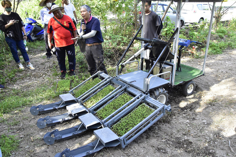 台東農改場推機械化作業 鼓勵部落種小米拓商機