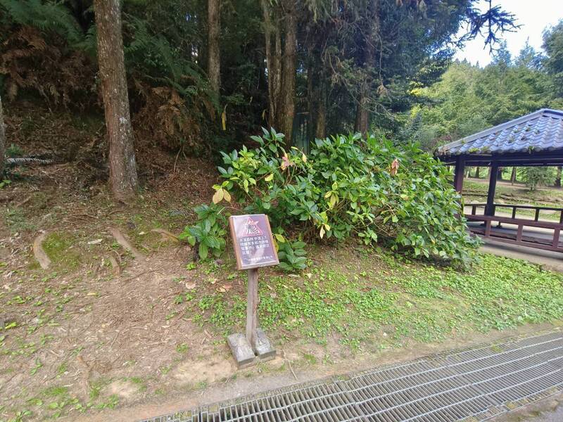 繼逢甲大學登山隊後 又12人在水漾森林遭蜂螫