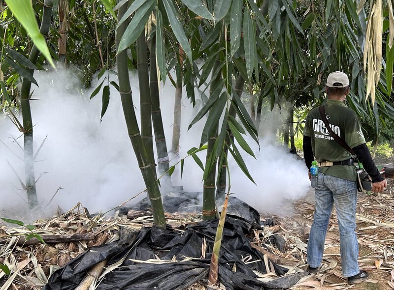 嘉市出現登革熱群聚 籲民眾提高警覺加強孳清