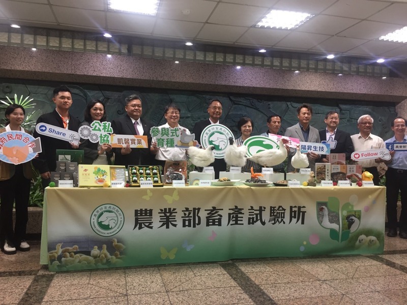 參與式育種10年 全黑烏骨雞賣相佳白羽鴨可賺白金