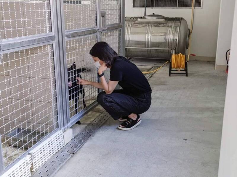 助犬貓認養 花蓮狗貓躍動園區11/1起調整開園時間