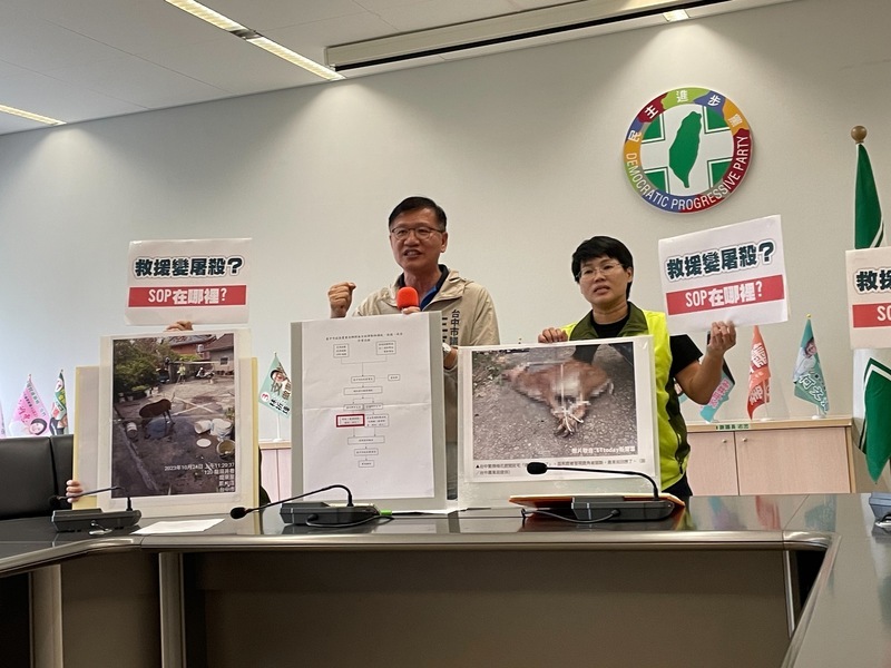 鹿闖民宅廠商亂謅死而復生野放 中市府解約開罰送辦