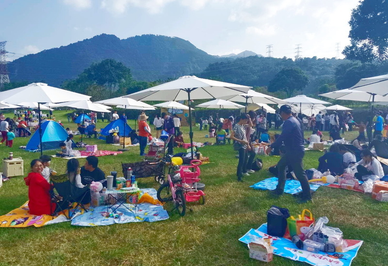 百組家庭阿里山愛情大草原野餐 助等家寶寶募蔬果
