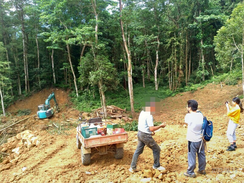 南庄山區遭濫墾 警空拍揪男子盜伐林木變賣