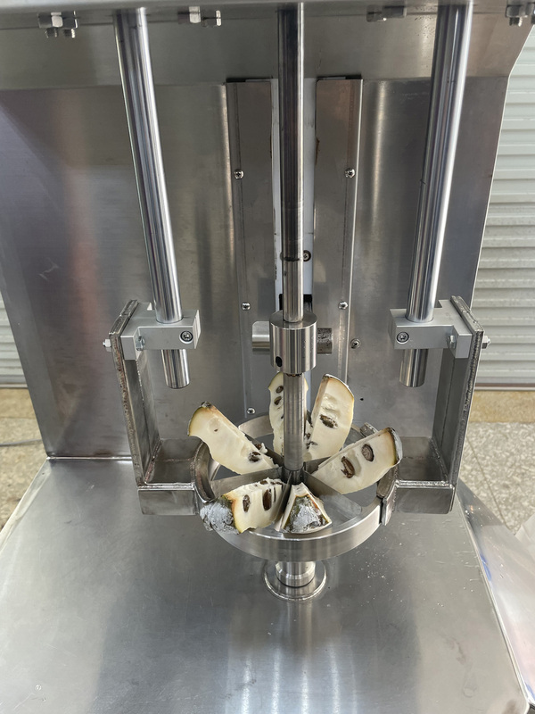 冷凍鳳梨釋迦削皮分切一機解決 保衛生省人工