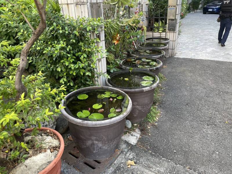 6缸孔雀魚不翼而飛 高雄警揪出白鷺鷥吃到飽