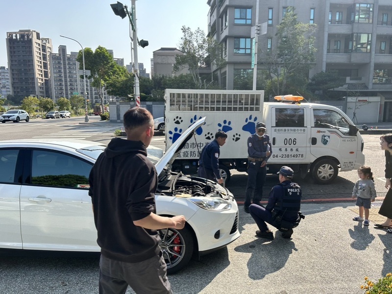 2幼貓卡汽車引擎室台中警誘捕 女童路過萌喊加油