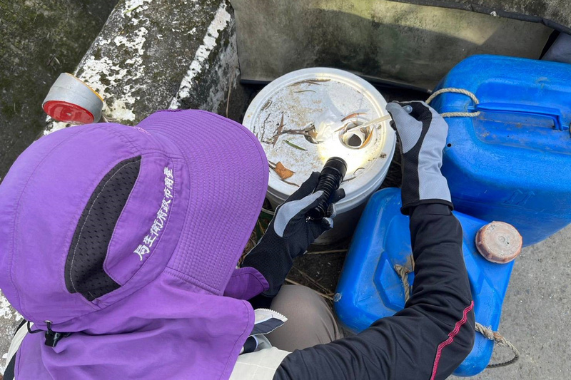 新營首例本土登革熱第二型基因定序出爐 感染源待查