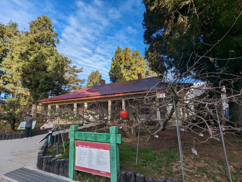 福壽山蘋果王患病又開二次花 未來花況恐受影響