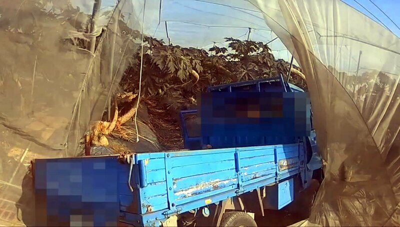 嘉義男酒駕自撞乘客友人不治 適用國民法官法