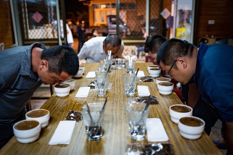 從育種到杯測 台灣咖啡莊園的品牌路
