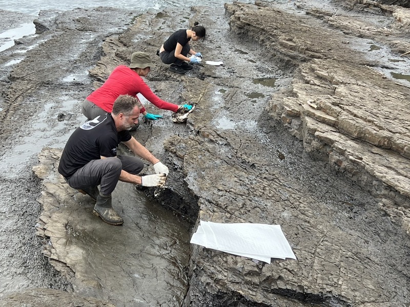 全台5縣市海岸油污 海保署啓動衛星、無人機揪元凶