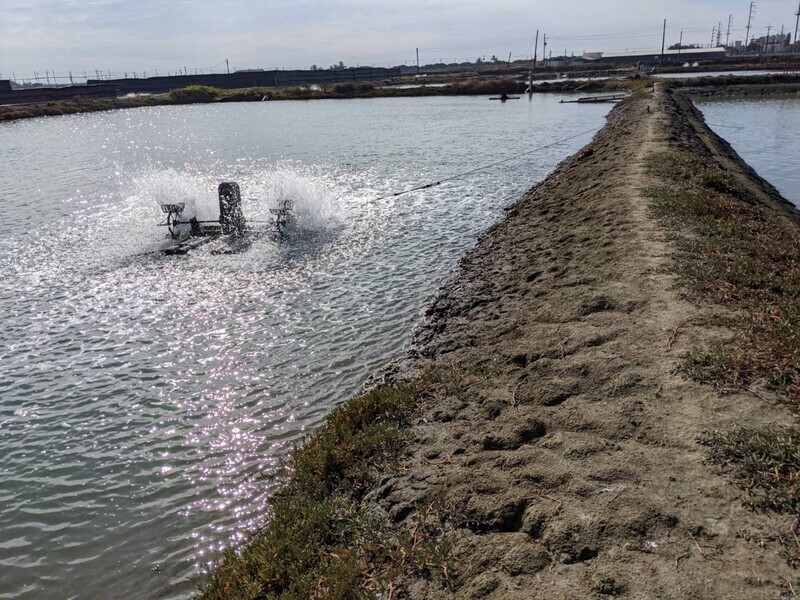 強烈冷氣團來襲 高市籲養殖漁業做好防寒