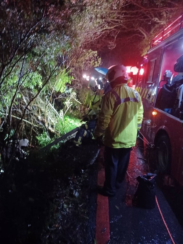 陽明山追雪 車輛滑落邊坡警消救出3人
