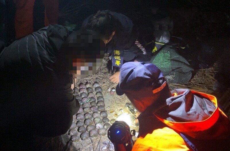 頂寒流低溫埋伏6小時 海巡取締違規捕龍蝦