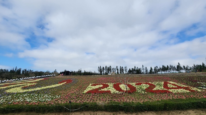 澎湖休憩園區打造龍年花海 春節走春好去處