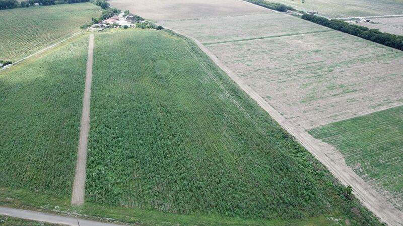 歡迎猛禽作客蔗田 台糖「食物鏈」策略告別鼠害