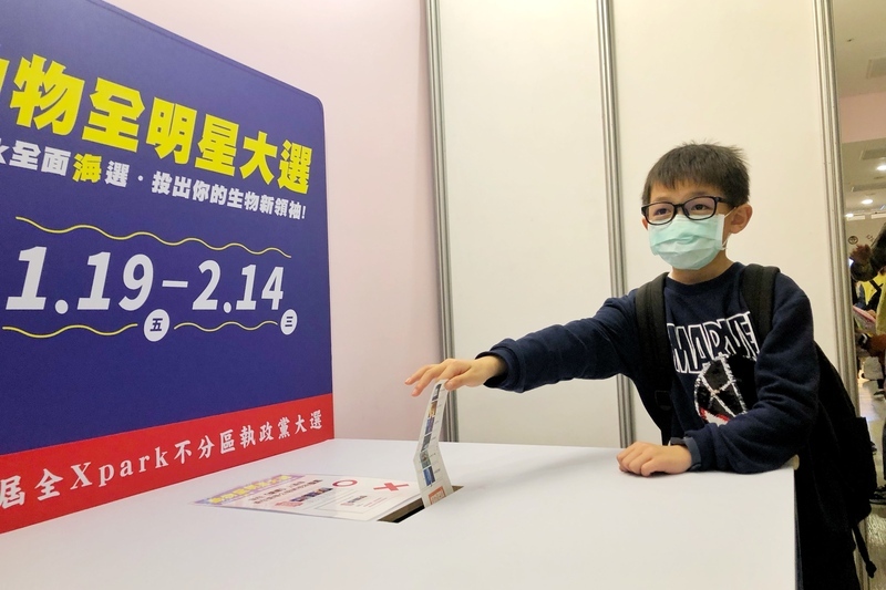 動物全明星大選 家長讚認識生物也學習民主制度