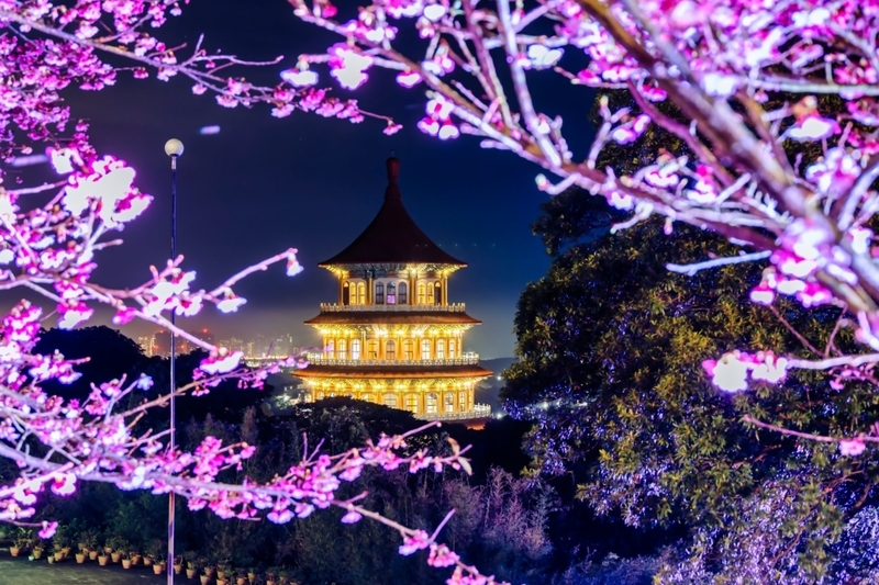 新北捷運限量賞櫻一日票 淡海或安坑輕軌無限搭